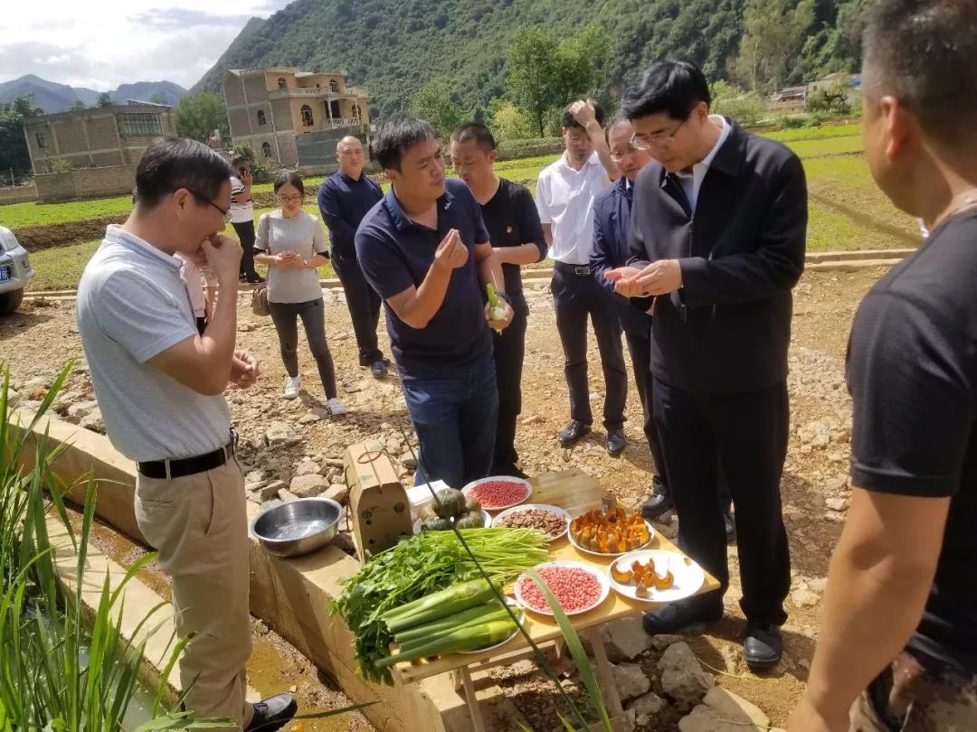 首页-BBIN宝盈集团官方网站