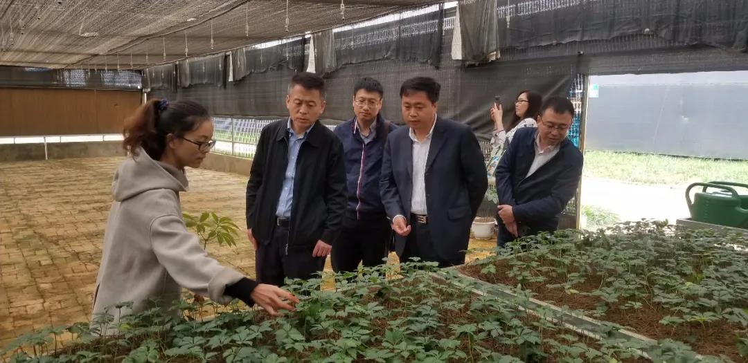 首页-BBIN宝盈集团官方网站