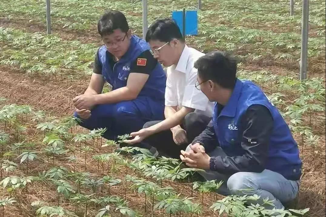 首页-BBIN宝盈集团官方网站