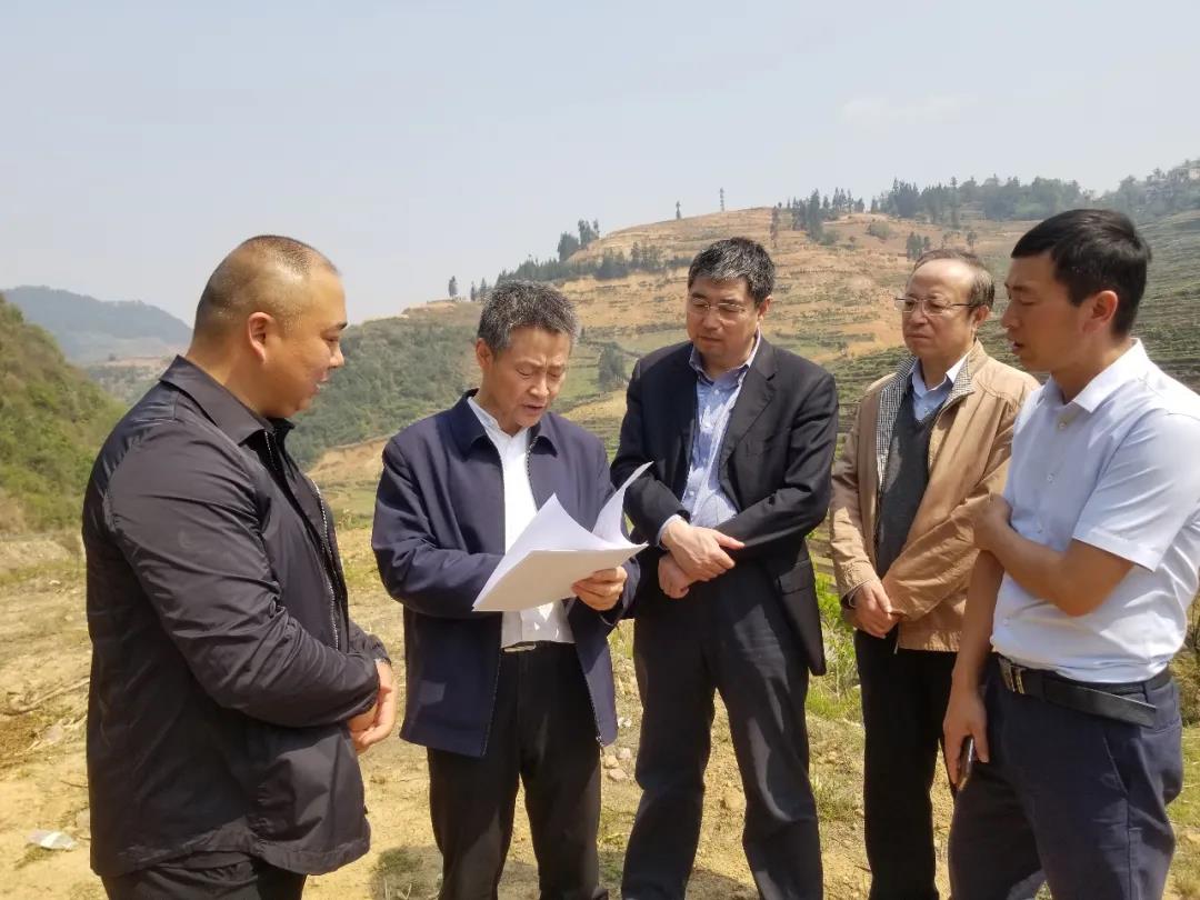 首页-BBIN宝盈集团官方网站